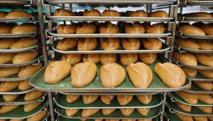 Kocaeli Halk Ekmek’te 1 Nisan itibariyle gramaj artıyor