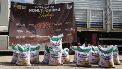 Konya az su isteyen ürünleri yaygınlaştırıyor... Yüzde 50 hibeli nohut tohumları dağıtılıyor