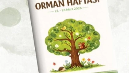 MEB’den “Orman Haftası” için okul öncesi etkinlik takvimi