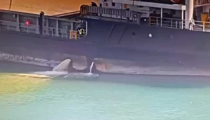 Mersin Limanı’nda denizi kirleten gemiye 13,1 milyon TL ceza