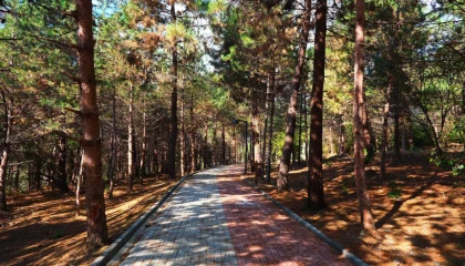 Sakaryalılar baharı ‘Huzur Koridoru’nda koşarak karşılayacak