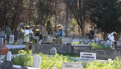 Sakarya’nın 16 ilçesindeki mezarlıklar bayrama hazırlanıyor