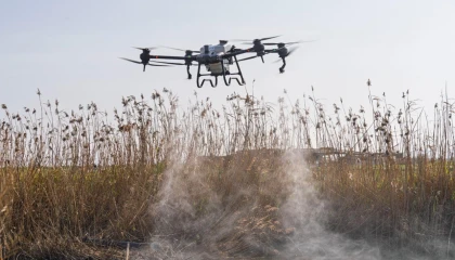 Sivrisinek ve zararlılara karşı İzmir modeli teknoloji sahada