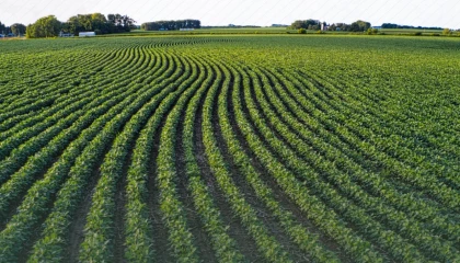 Tarım arazilerinin etkin kullanımı için hibe desteği
