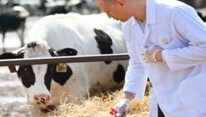 Tarımsal en yüksek girdi veteriner harcamaları zirvedeki yerini koruyor