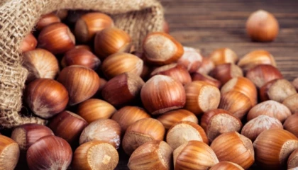 TMO’dan ’kabuklu fındık’ açıklaması: Satışımız ve hazırlığımız bulunmamaktadır