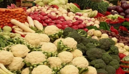 Üretici ve market fiyat farkında karnabahar ve marul zirvede