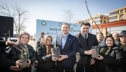 Üreticilere incir fidanı desteği