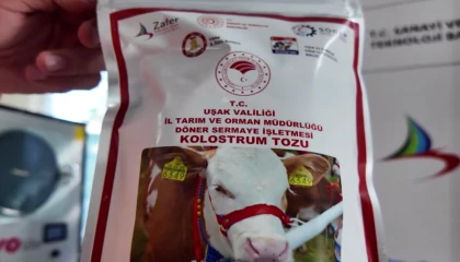 Uşak’ta Türkiye’nin ilk dondurarak kurutma kolostrom tesisi kuruldu... Hayvancılıkta yenilikçi adım hayata geçti