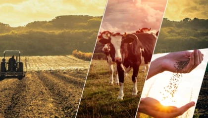 17,4 milyar TL’lik tarımsal destek çiftçilerin hesabında