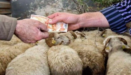 2026 Yılı Kurban Hizmetleri Tebliği ’Resmi’leşti... İstanbul’a kurbanlık girişleri 11 Mayıs’ta başlıyor