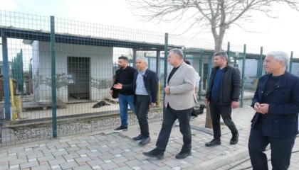 Adanalı veterinerlerden hayvan bakımevine inceleme