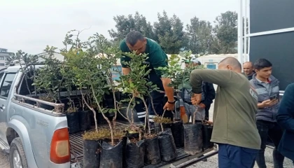 Alanya’nın coğrafi işaretli keçiboynuzuna destek