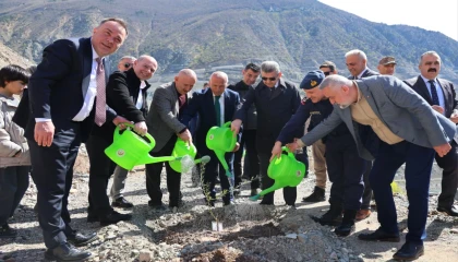 Artvin’de Butko zeytini üretimi yaygınlaşıyor