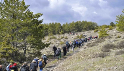 Başkentliler Şahinler Tabiat Parkı’nda doğayla buluştu