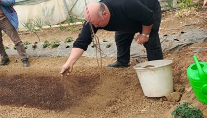 Bilecik Pazaryeri’nde tütün geçim kapısı oluyor