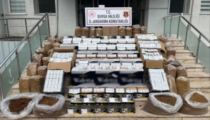 Bursa Gemlik’te kaçak tütün operasyonu