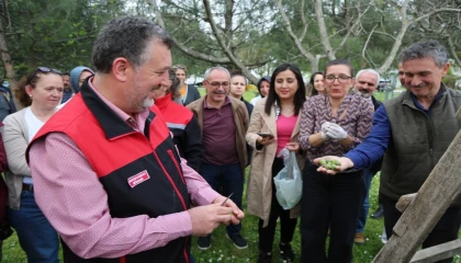 Bursa siyahı incirde sıkı denetim
