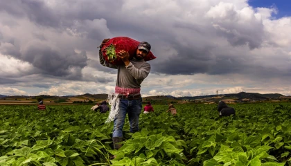 Bursa Yenişehir’de tarımı geliştiren, sanayi ve ticareti büyüten anlayış hakim