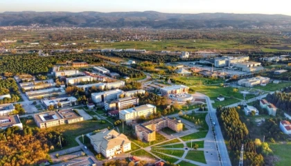 BUU’den İsrail’in Filistin’e yönelik idam kararına tepki