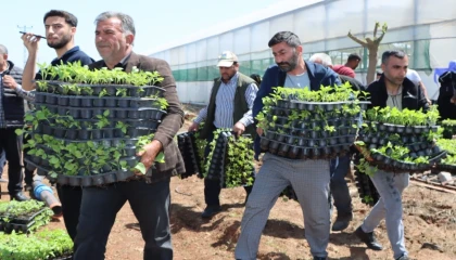 Çiftçiye 1 milyon fide desteği