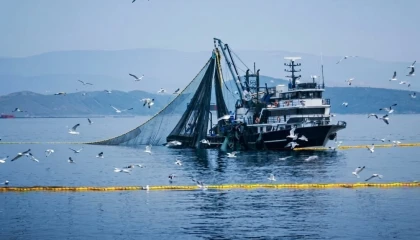 Denizlerde av yasağı 15 Nisan’da başlıyor