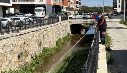 Haşereye karşı larvasit çözüm