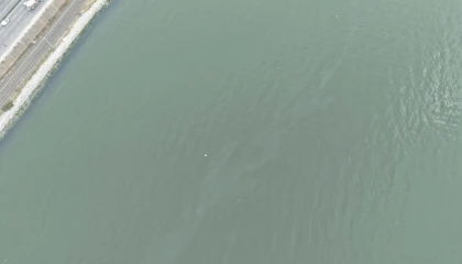 İzmir Körfezi’nde kirlilik endişelendiriyor! Aynı tehdit 11. kez görüldü