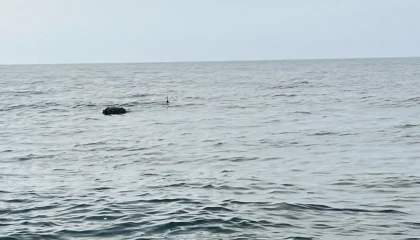 Karadeniz’deki şüpheli mayın SAS timlerince imha edildi!