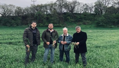 Keşan’da yağışlar verimi artırdı, hastalık riskini büyüttü