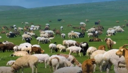 Kırsalda Bereket başvurularında son gün 30 Nisan