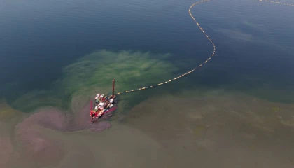 Kocaeli’nin çevre projesi deniz canlılarını canlandırdı