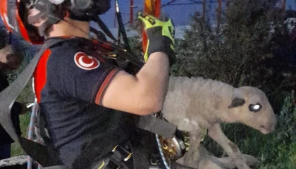 Kuyuya düşen kuzuya İzmir İtfaiyesi’nden nefes kesen kurtarma