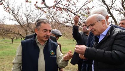 Malatya’da dolu felaketi sonrası yerinde tespit... Yaraları birlikte saracağız