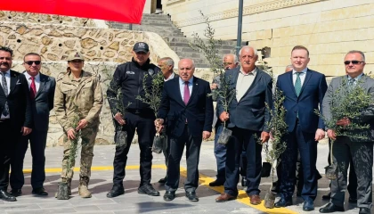 Mardin Yeşilli’de tarihi rekor! 102 bin meyveli fidan dağıtıldı