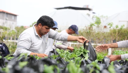 Muğla Dalaman’da üreticilere fide desteği sağlandı