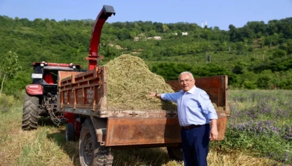 Ordu’da atıl arazi tarıma kazandırıldı