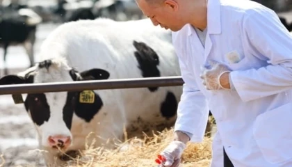 Tarımda maliyet baskısı sürüyor... Girdi fiyatları veteriner harcamaları yine zirvede