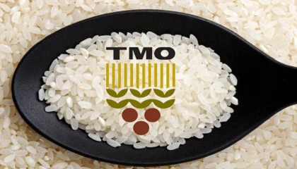 TMO: Tüm pirinçler yerli üreticiden