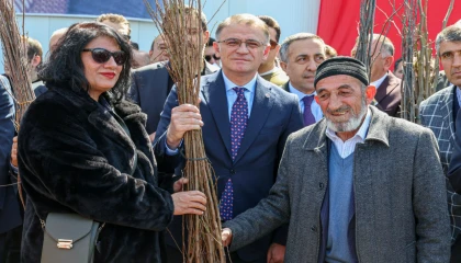 Van’da hedef 5 milyon meyve fidanı