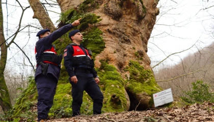 Yalova’da Jandarma turizm bölgelerinde güvenliği artırdı