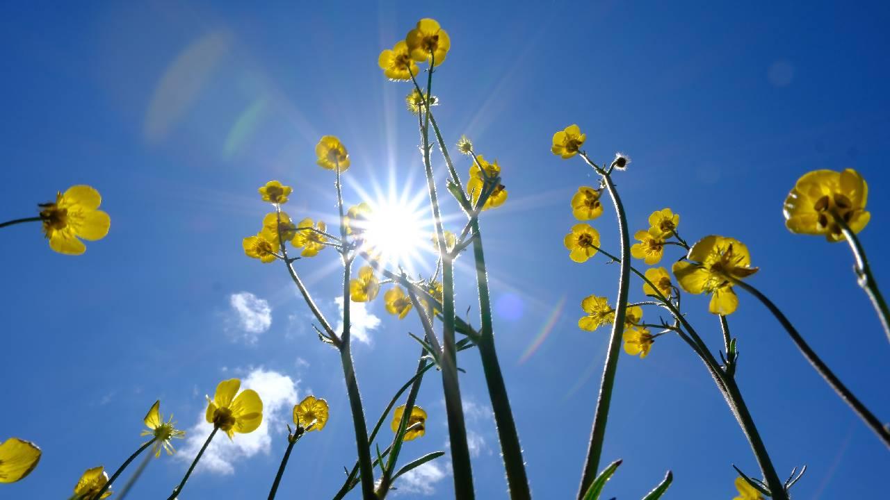 3 gün sonra 28 derece: Hava yeniden ısınıyor
