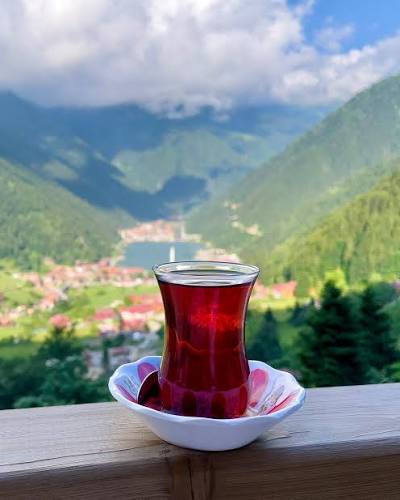 Bakanlık Açıkladı: İki Çay Markasında Yasaklı Boya Tespit Edildi