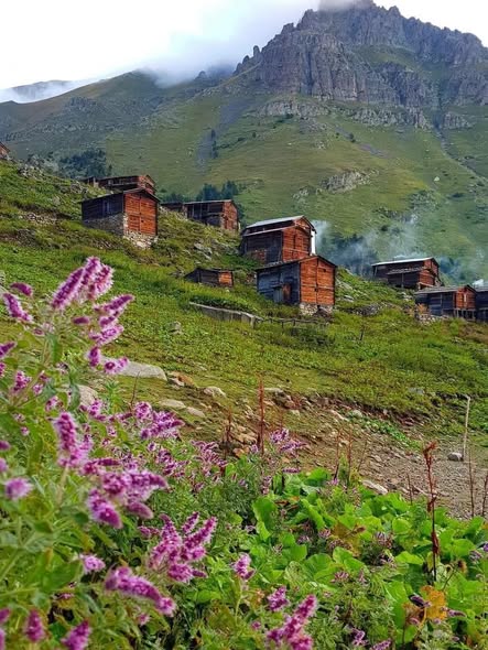 Artvin Çikunet Yaylası'ndan Büyüleyen Doğa Manzaraları
