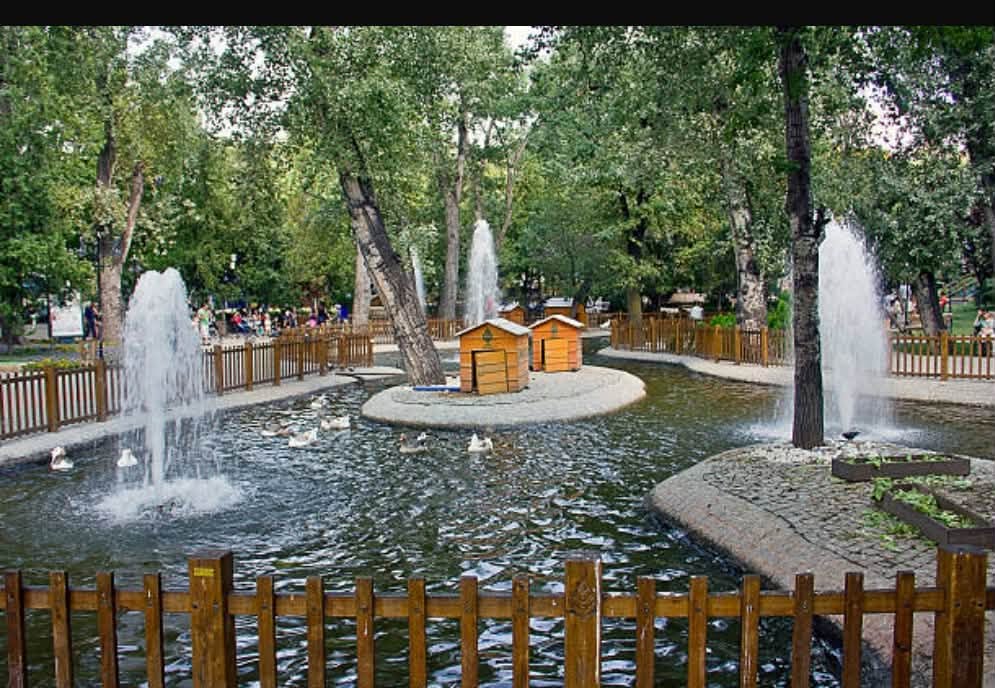 Ankara Çankaya Kuğulu Park’ta Sonbahar Güzelliği